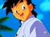 immagine arale