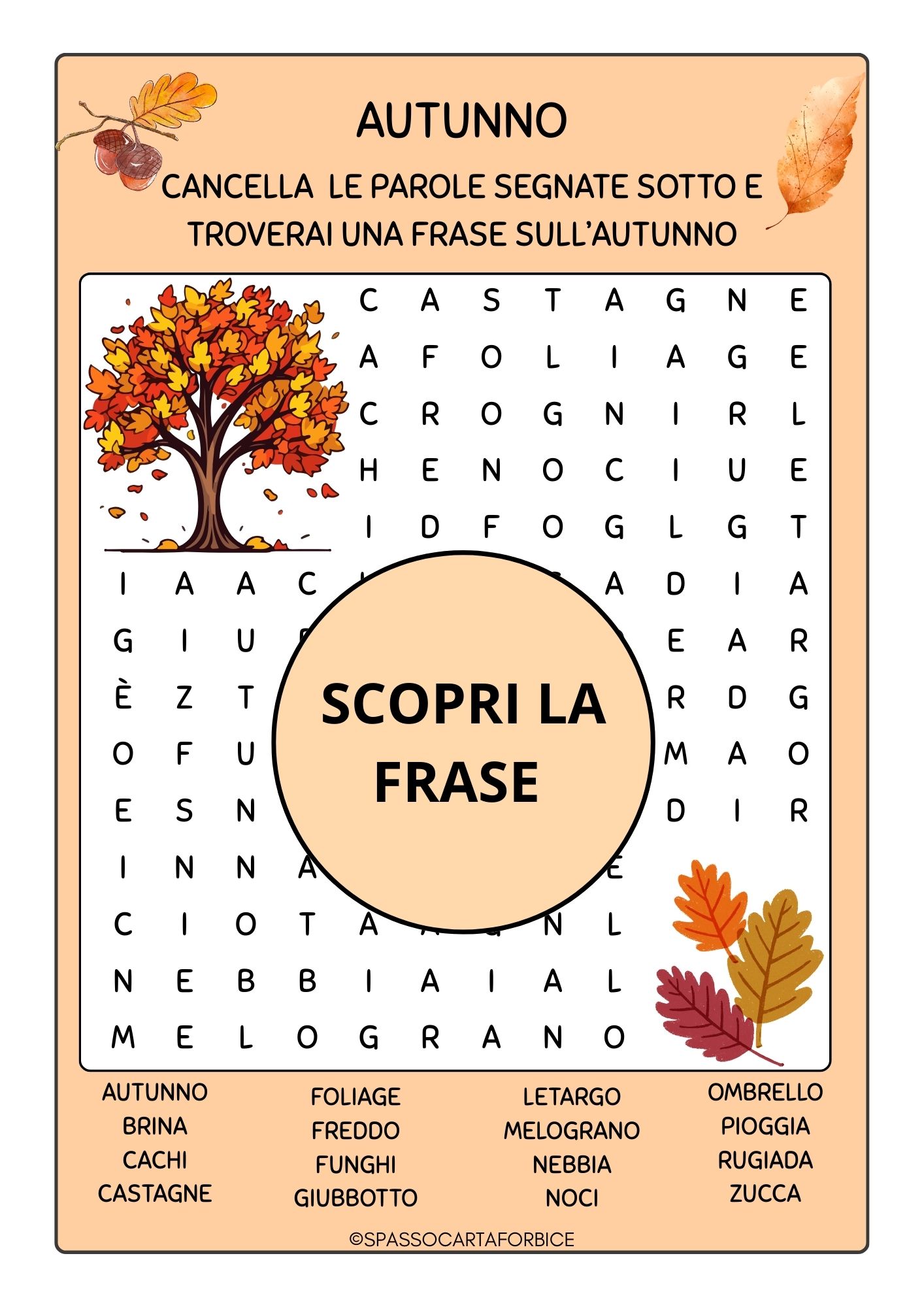 Il libro del mare