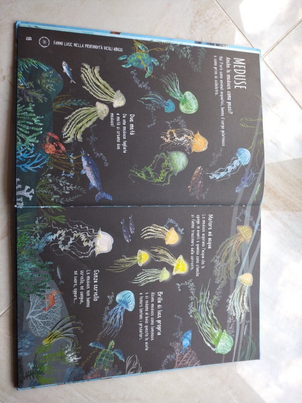 libri per bambini Il libro del mare