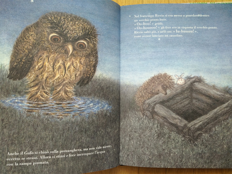 libri per bambini Il riccio nella nebbia