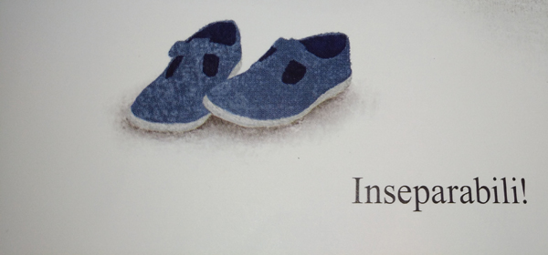 libri per bambini Inseparabili