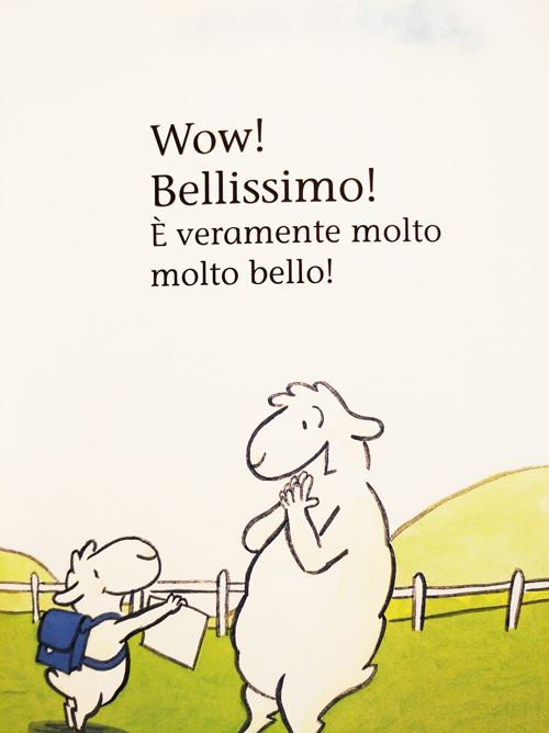 libri per bambini Mi disegni un piccolo principe