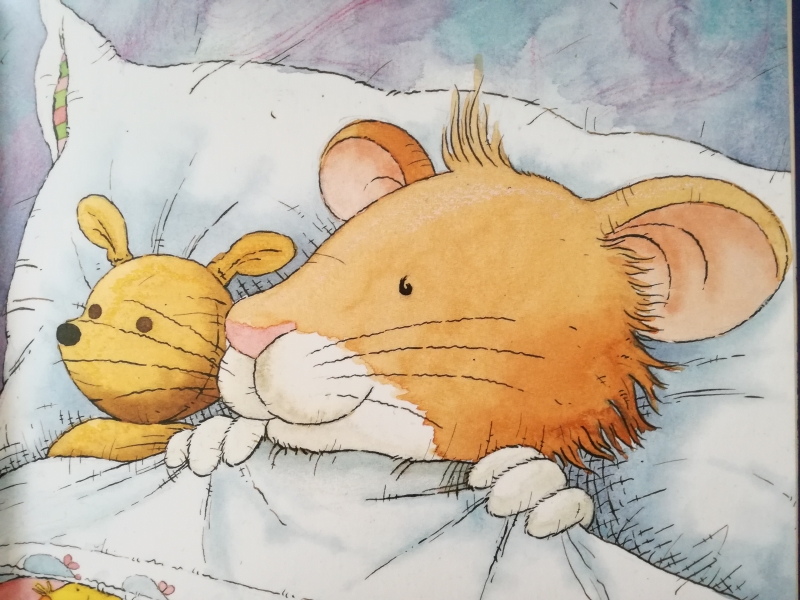 libri per bambini topo tip non fa la nanna