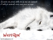 wallpaper sfondi di wolf rain