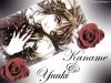 wallpaper sfondi vampire knight