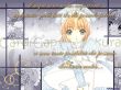 wallpaper card captor sakura