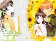 sfondi wallpaper di Fruits basket