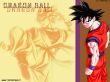 dragonball wallpaper
