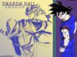 dragonball wallpaper