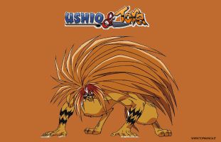 sfondi wallpaper ushio e tora