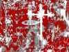 wallpaper sfondi vampire knight