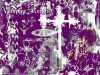 wallpaper sfondi vampire knight