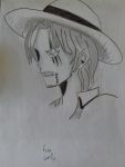 fan art one piece carlo Licco