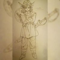 fan art dragonball dragon ball Stefano95sp