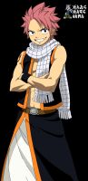 immagine FAIRY TAIL