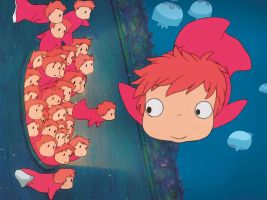 immagine PONYO SULLA SCOGLIERA