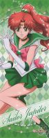 immagine SAILOR MOON CRYSTAL
