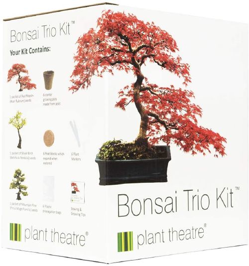 idee regalo giapponesi kit per bonsai
