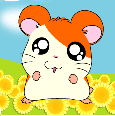 immagine anime e manga hamtaro class=