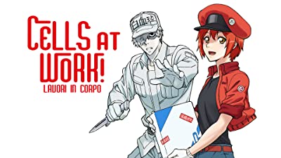 palinsesto anime generation