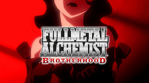 palinsesto anime netflix